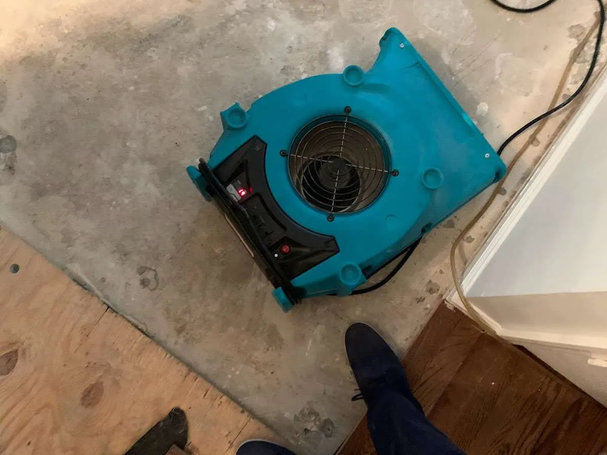 Air mover drying subfloor during Leak Detection & Repair in Kingsville